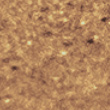 Light Bronze