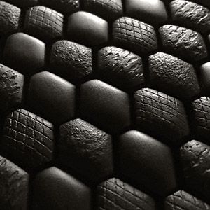 Losanghe Nero Africa