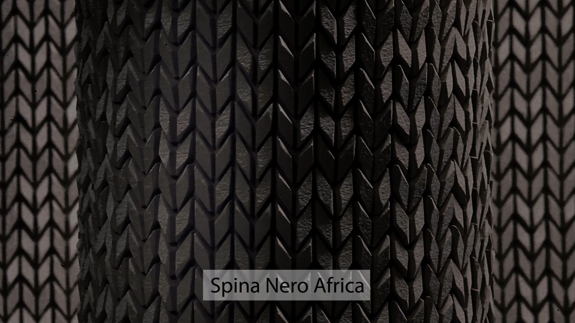 Spina Nero Africa